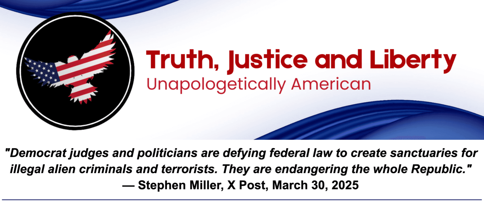 Issue 9: Political Standards and Accountability